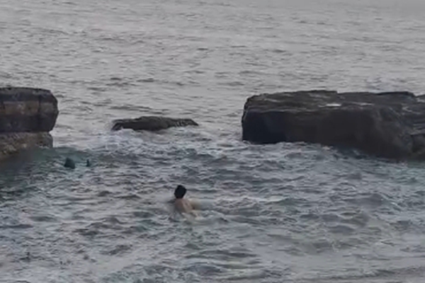 股点网 15秒看山东丨青岛现役军人巨浪中勇救落水游客，他说“义不容辞”！