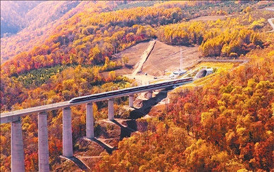 乐红网 东北省际高铁首次形成闭环(产经观察·收官之际看工程)