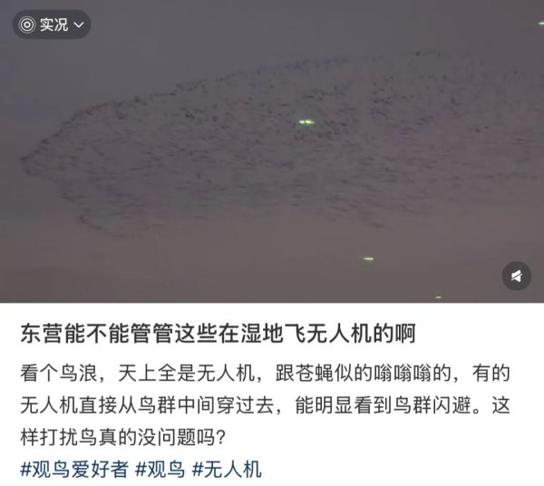 通弘网 无人机, 闯了大祸