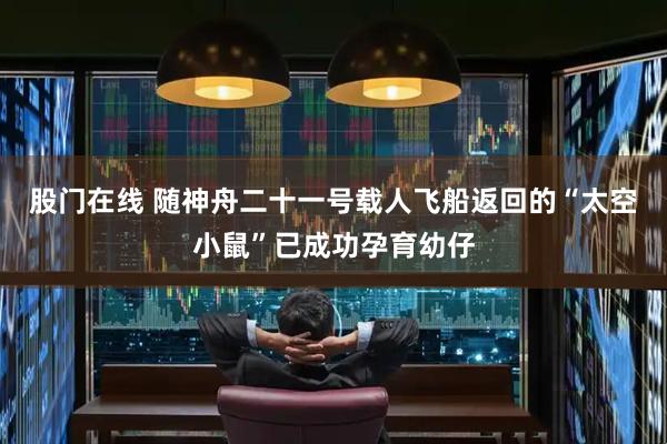 股门在线 随神舟二十一号载人飞船返回的“太空小鼠”已成功孕育幼仔